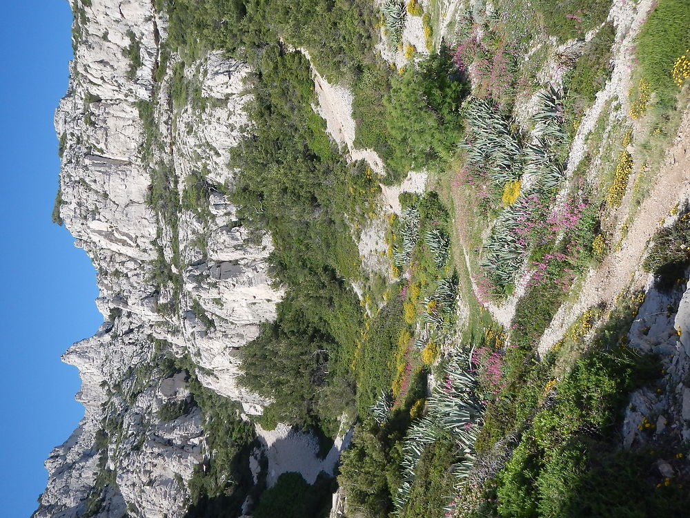 En arrivant à la calanque de Podestat