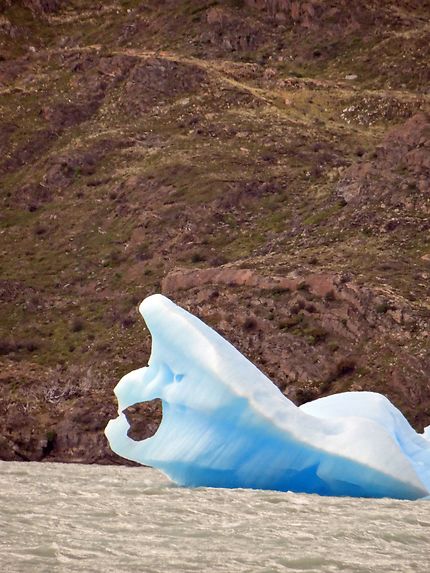 Fonte des glaciers en Patagonie
