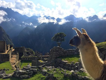 Le gardien du Machu Picchu