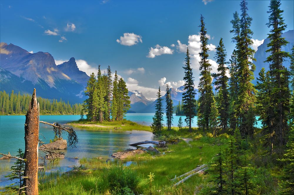 "COLORS OF MALIGNE LAKE"