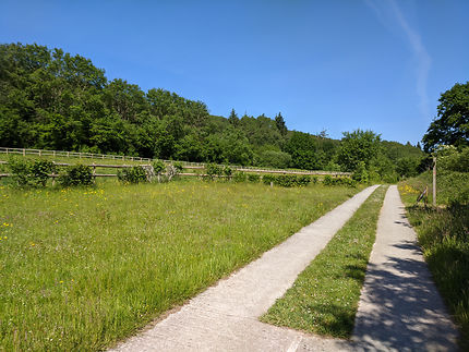 Idéal de déconfinement à Grainville-la-Teinturière