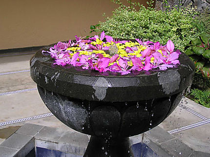 Fontaine de fleurs