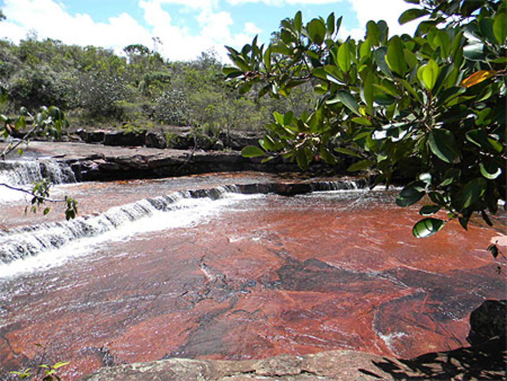 Gran Sabana Lit de jaspe (pierre semi-précieuse)