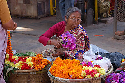Fleuriste à Kathmandu
