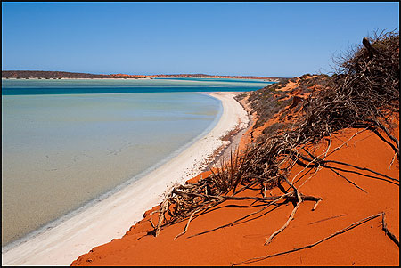 Big Lagoon Big Lagoon