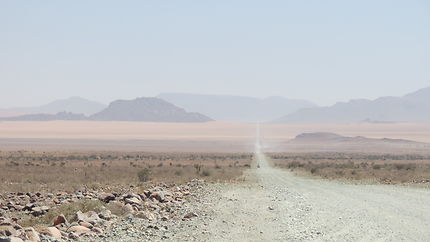Seuls dans le désert du Namib, Namibie