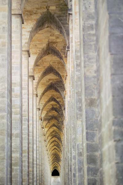 Cathédrale ? Cathédrale ?