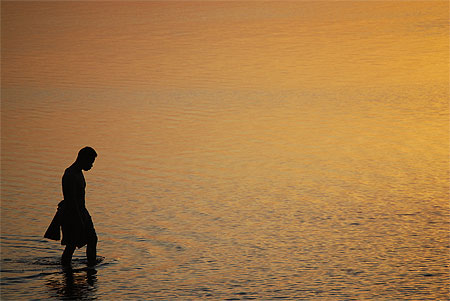 Pêche au soleil couchant Pêche au soleil couchant