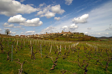 En Bourgogne, du côté de Vézelay