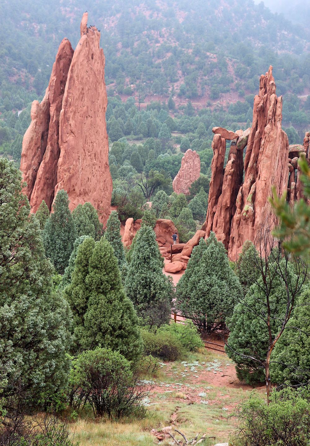 Garden of The Gods sous la pluie