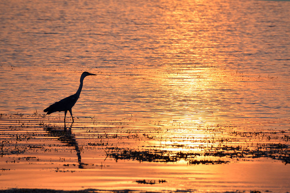 Fin de journée au Lac Kariba