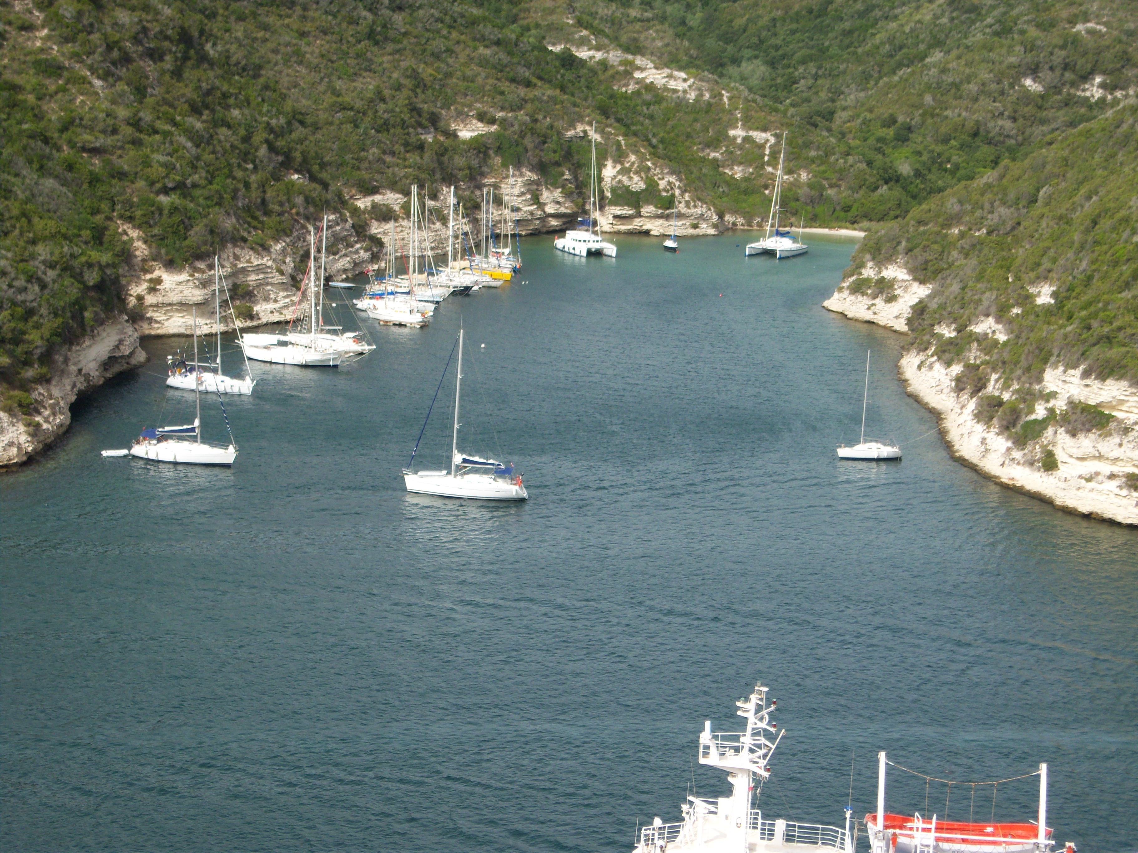 Bonifacio Bonifacio