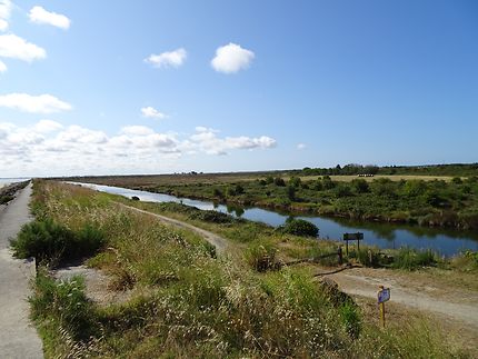 Canaux dans le polder