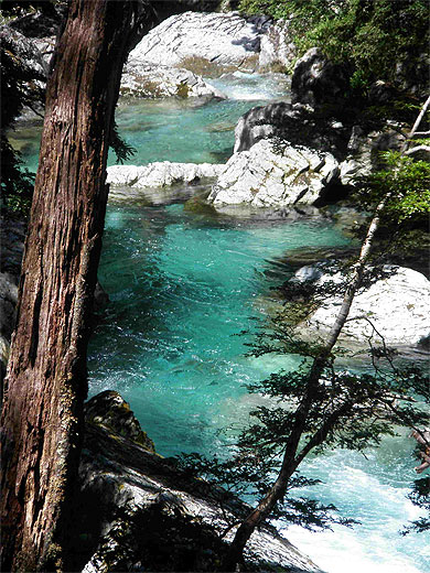 Routeburn River Routeburn River