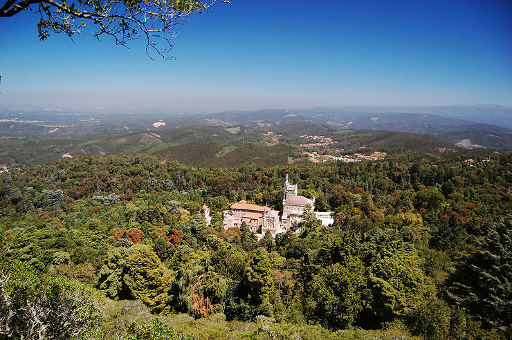 Randonnées dans la forêt de Buçaco et Serra da Estrela