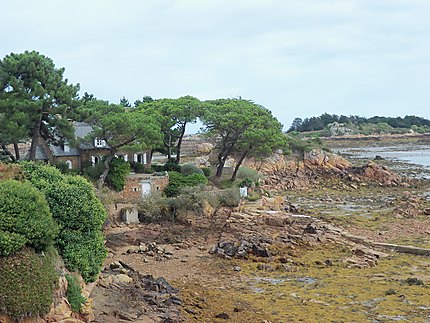 Maison sur l'Île de Bréhat