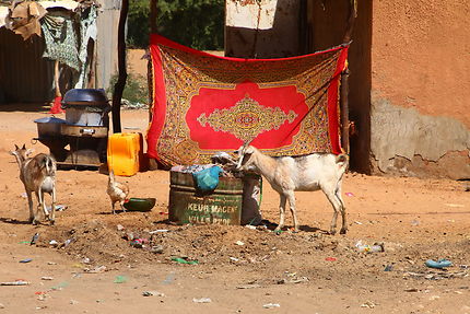 Vie quotidienne en Mauritanie