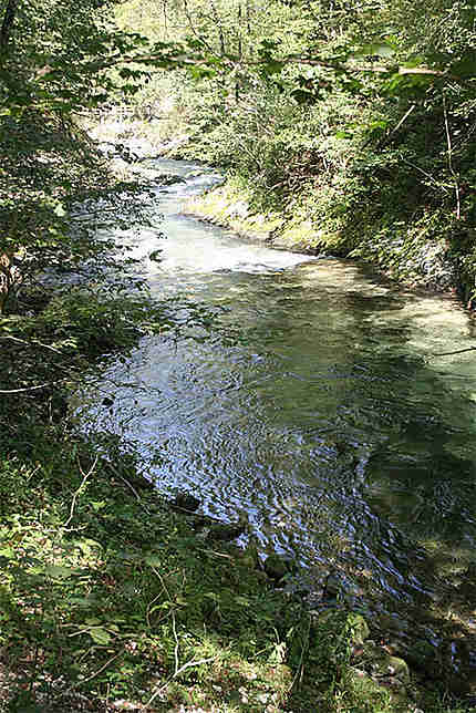 Rivière Radovna