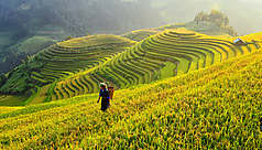 Vietnam du Nord-Ouest : le toit de l&rsquo;Asie du Sud-Est