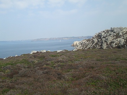 Lande de la Pointe du Grand Gouin