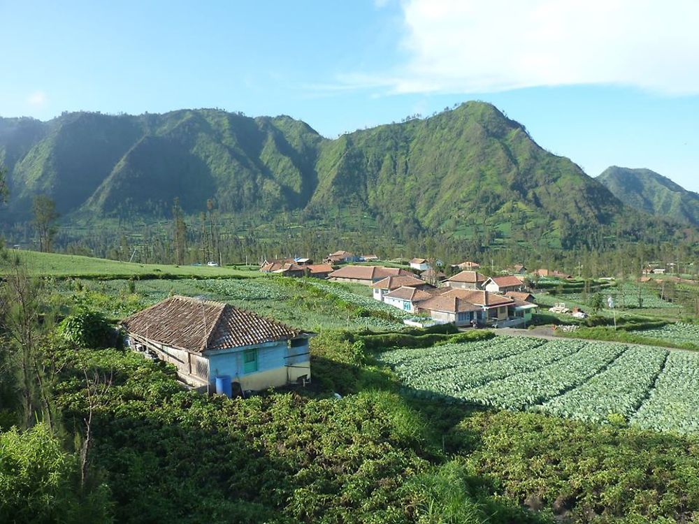 Cemoro Lawang 