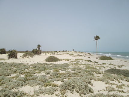 Nord-Est de l'île de Djerba