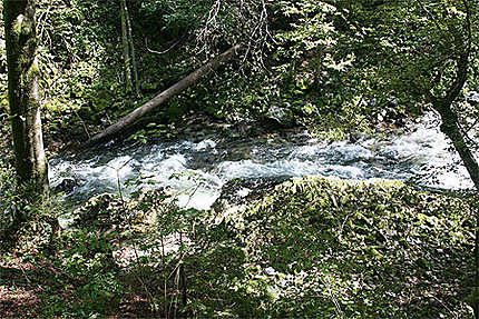 La rivière Radovna