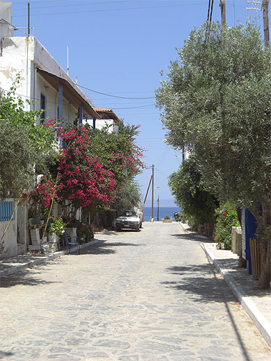 Rue du petit village Mochlos Rue du petit village Mochlos