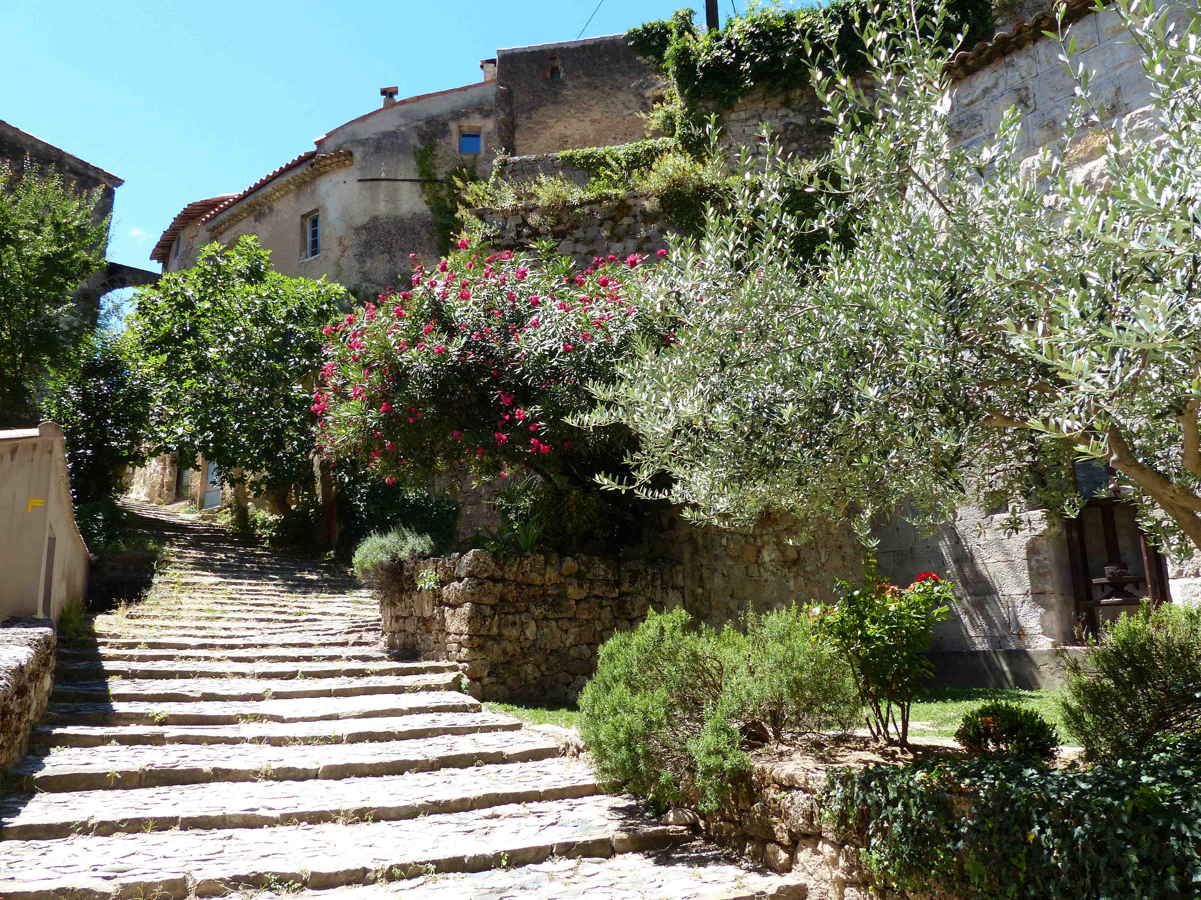 Ruelle du village de Cotignac Ruelle du village de Cotignac