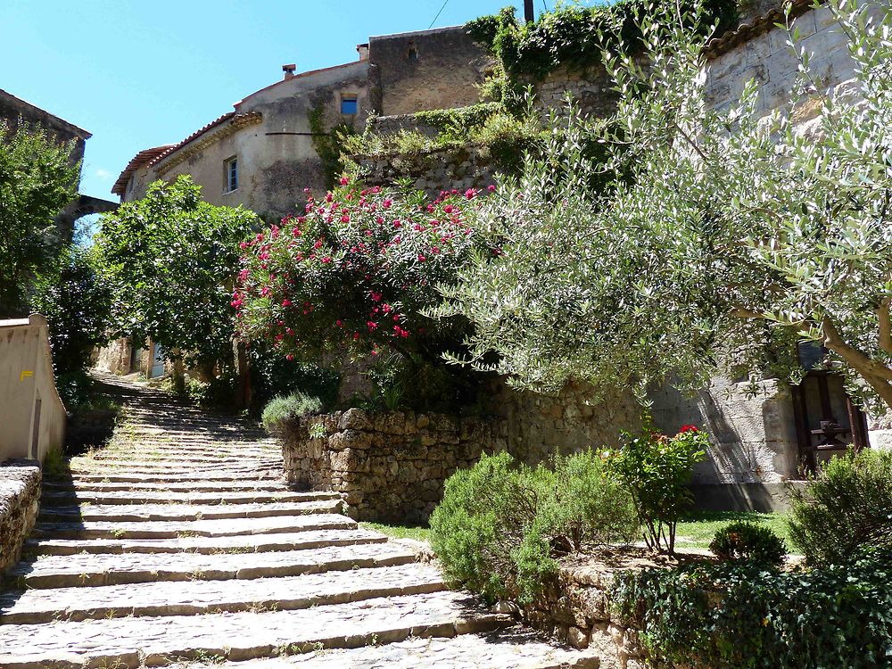 Ruelle du village de Cotignac