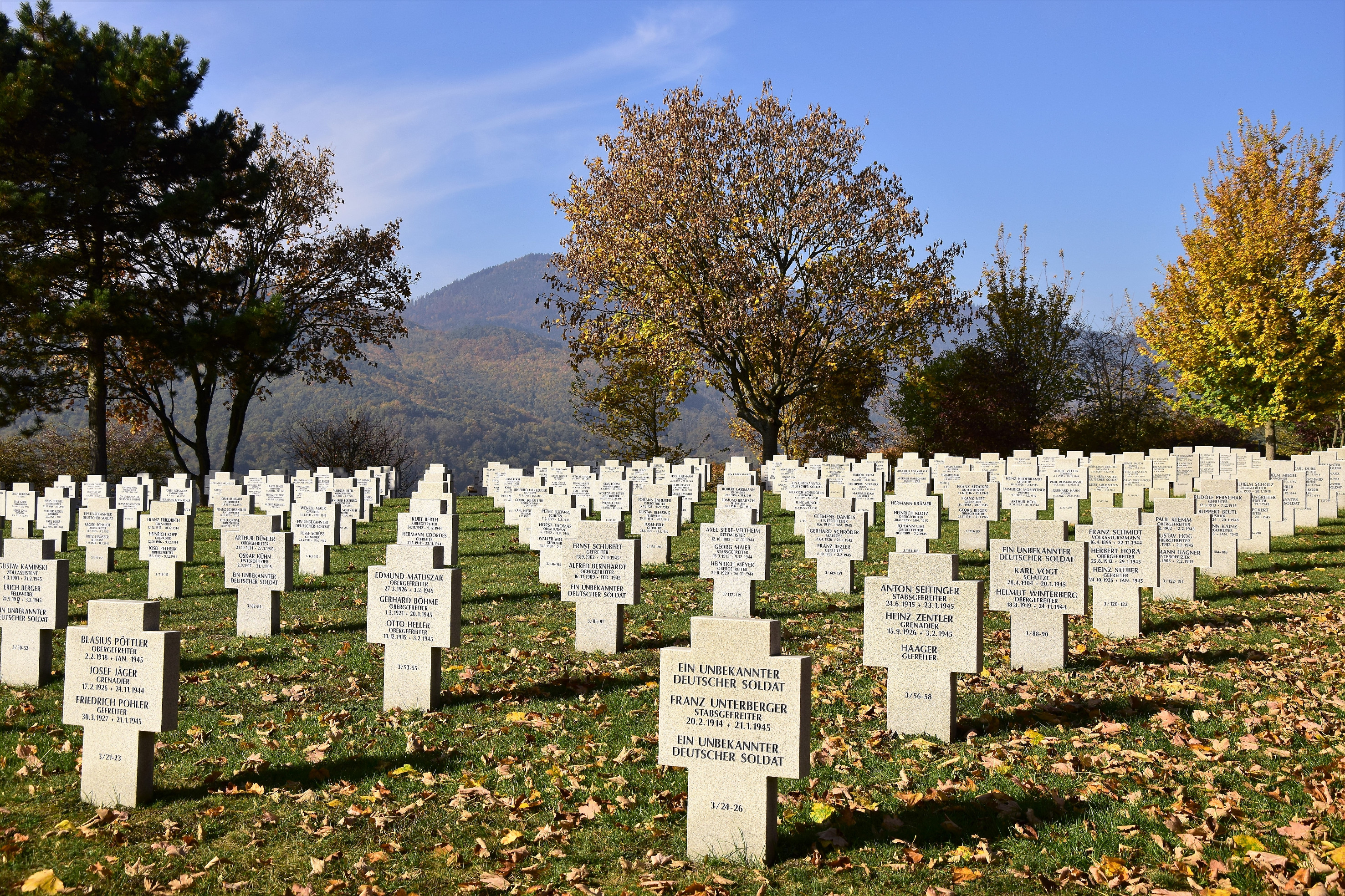 Cimetière militaire allemand près de Bergheim Cimetière militaire allemand près de Bergheim