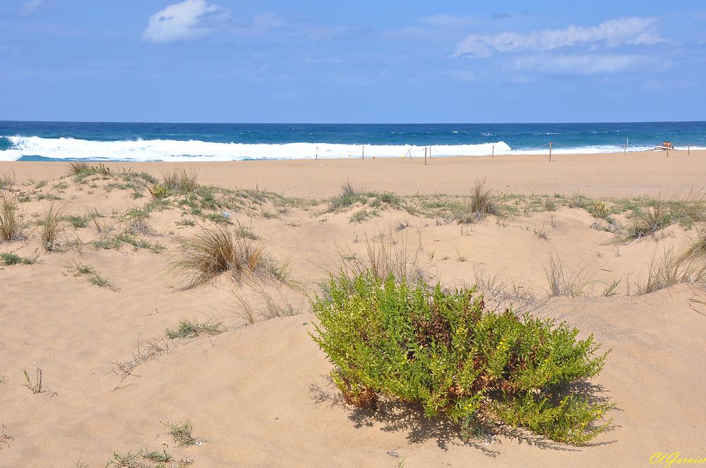 Spiaggia Piscinas