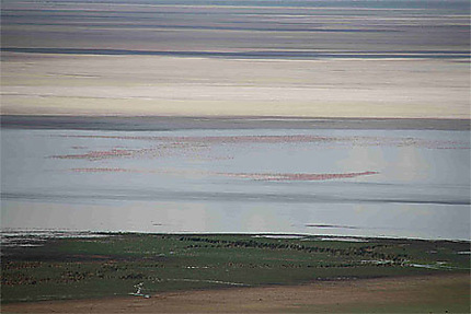 Lac Manyara