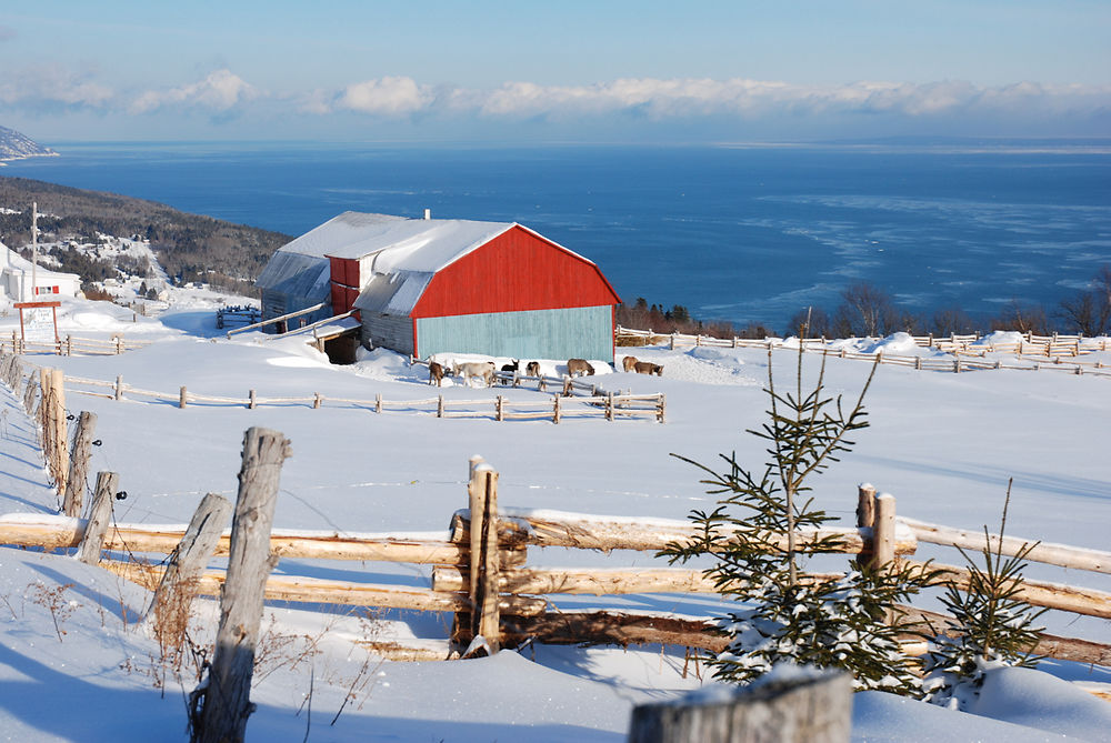 Ferme de l'Âne du Saint-Laurent 