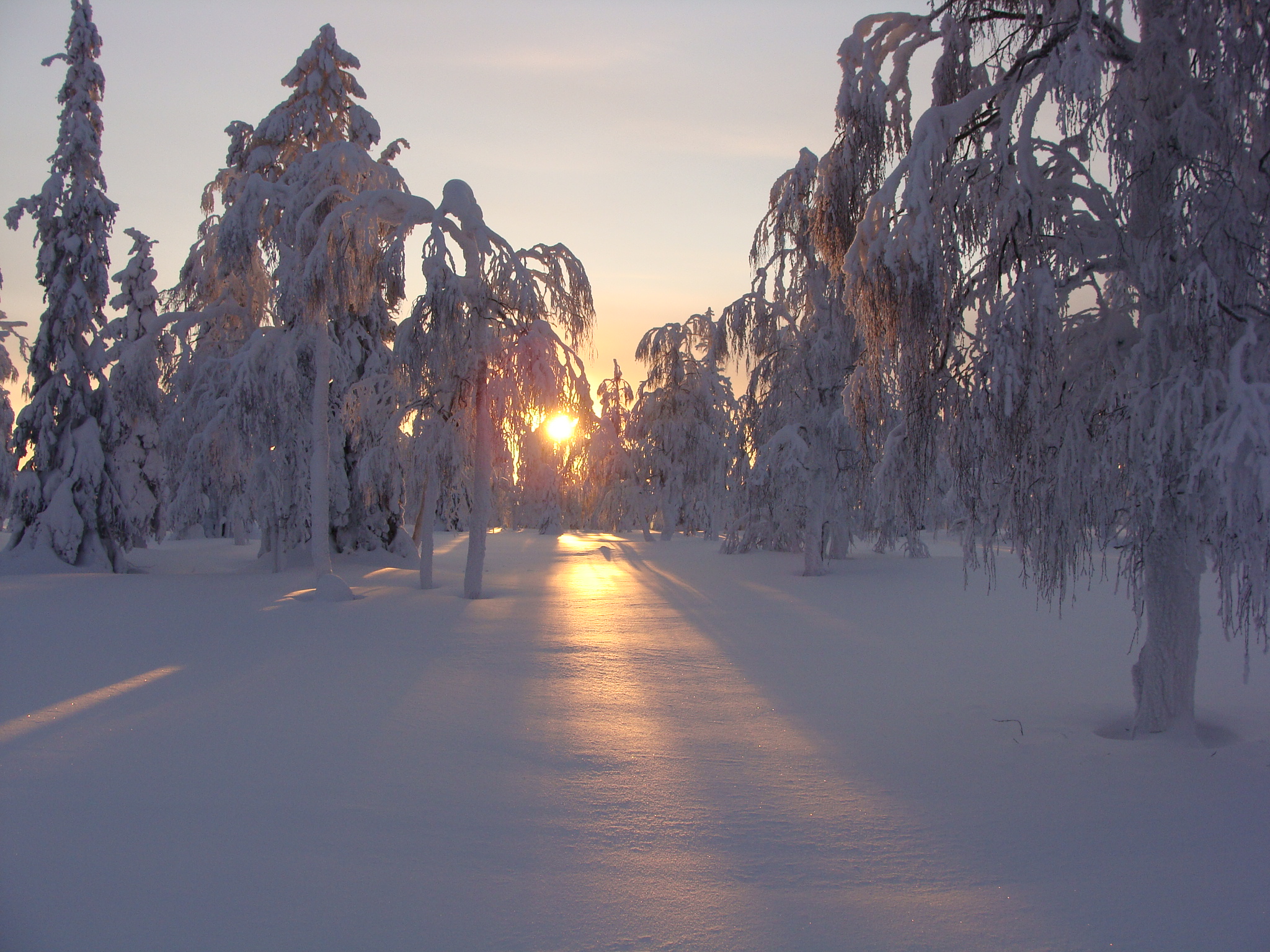 Le désert blanc à Ivalo, Laponie Le désert blanc à Ivalo, Laponie