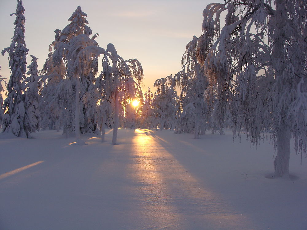 Le désert blanc à Ivalo, Laponie