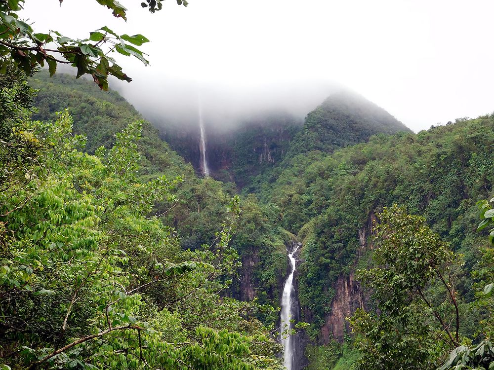 Les chutes du Carbet