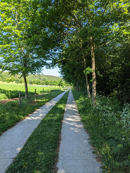 Marche à l'ombre à Grainville-la-Teinturière