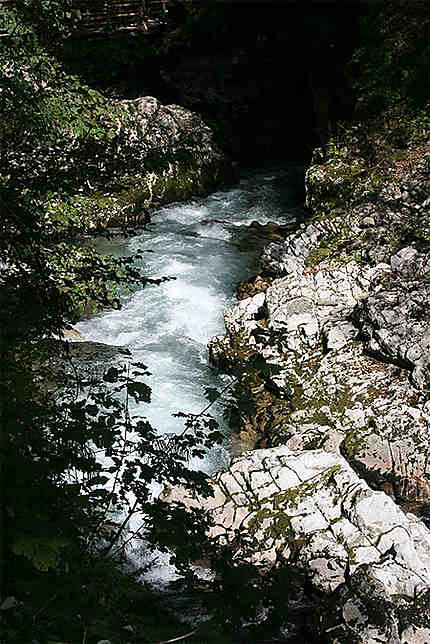 La rivière Radovna