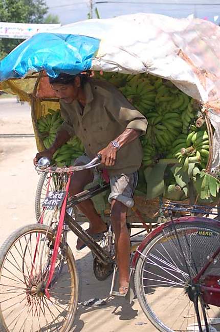 Banana rickshaw 