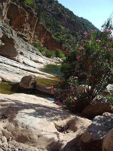 Oued Oued