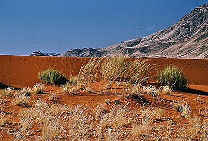 Dunes de sable au coeur du désert du Namib