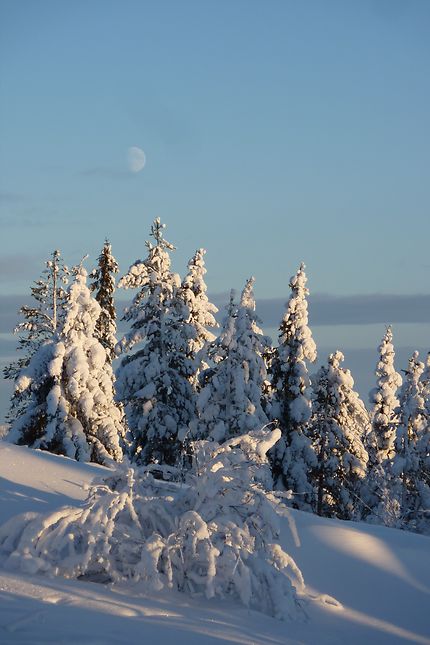 Lune finlandaise à Rovaniemi