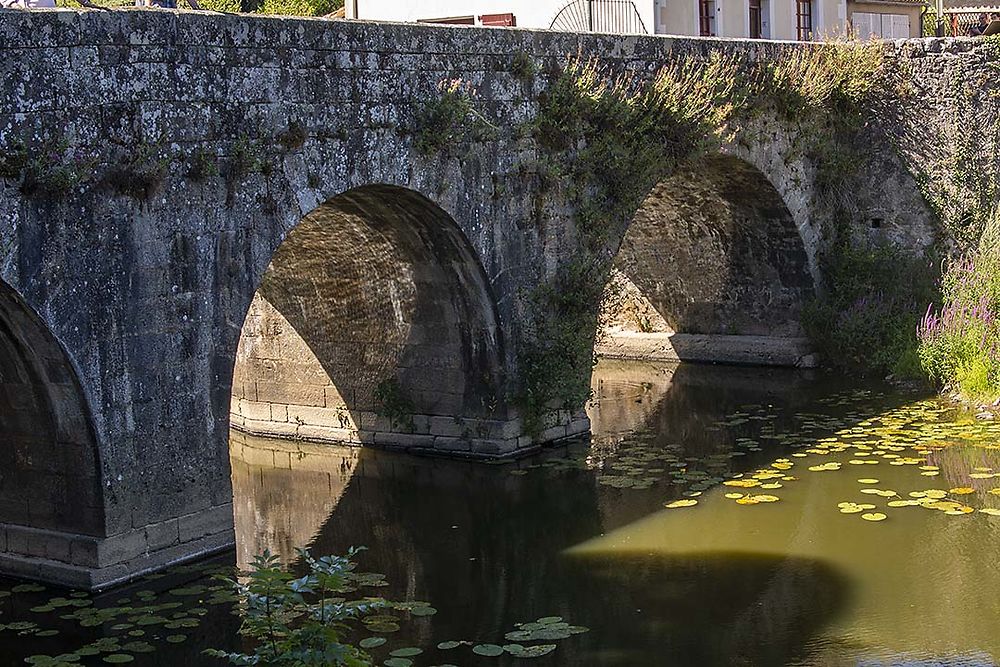 Le pont fortifié de la Porte Saint Jacques