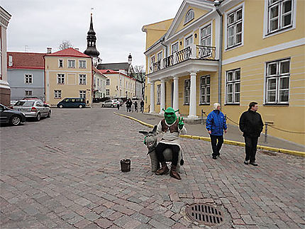 Un âne ivre dans les rues de Tallinn !