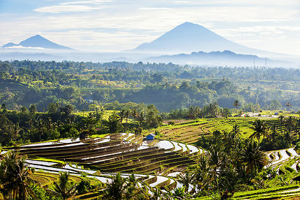 Bali, l’île du bien-être