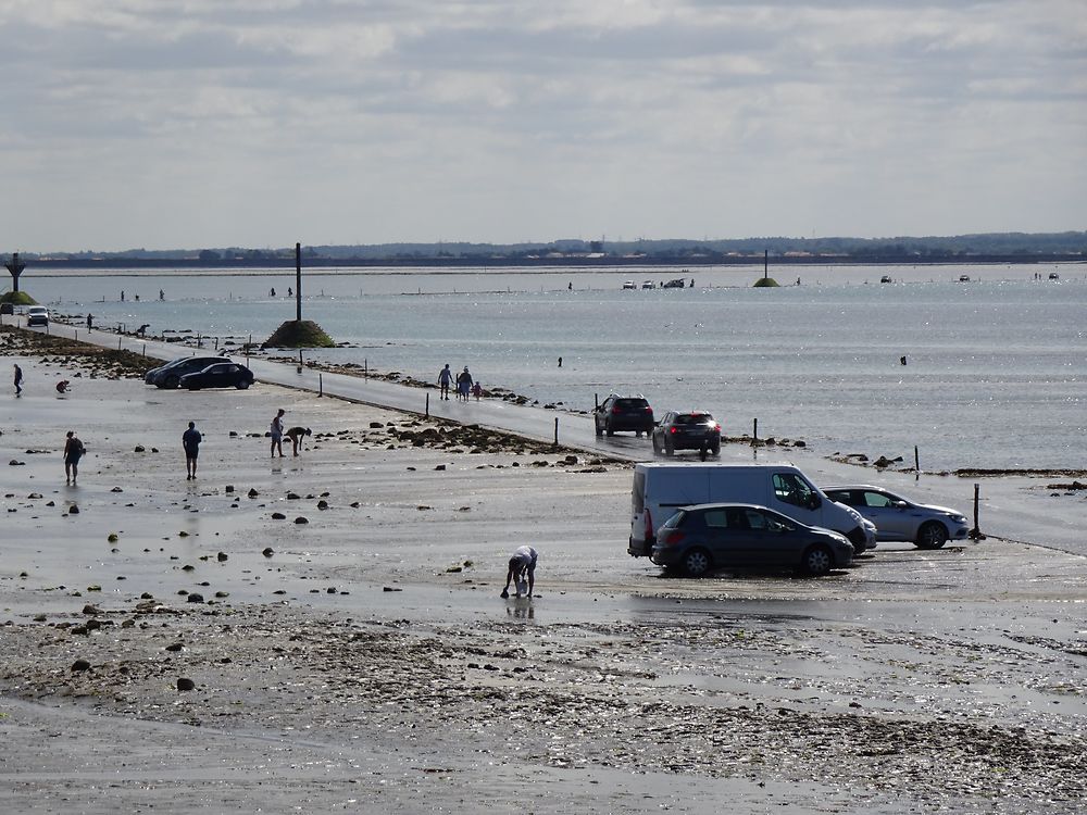 Pêche à pied