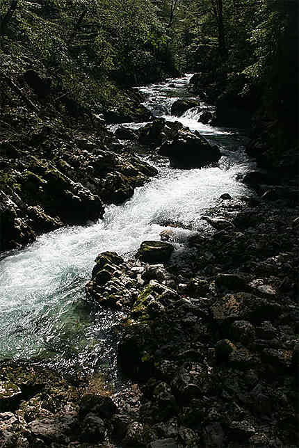 Belle rivière Radovna
