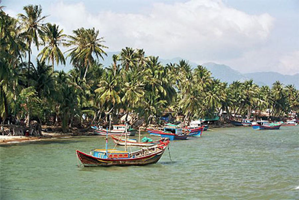 Le port de Vangia