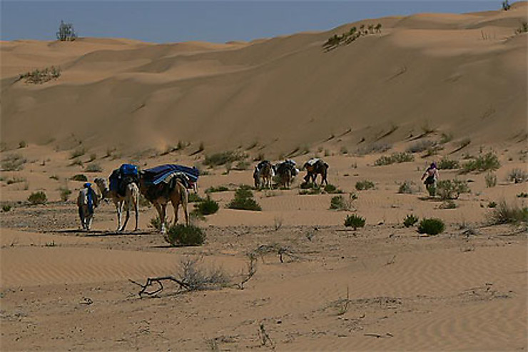 randonner-dans-le-grand-erg-oriental-d-sert-douz-r-gion-de-tozeur